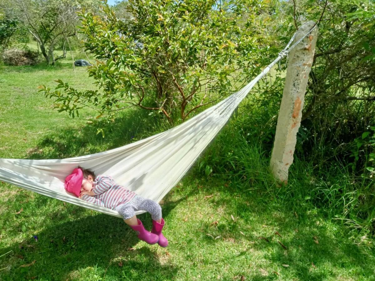 Hospedaje Y Zona De Camping Pistacho Casa de hóspedes Villa de Leyva Exterior foto