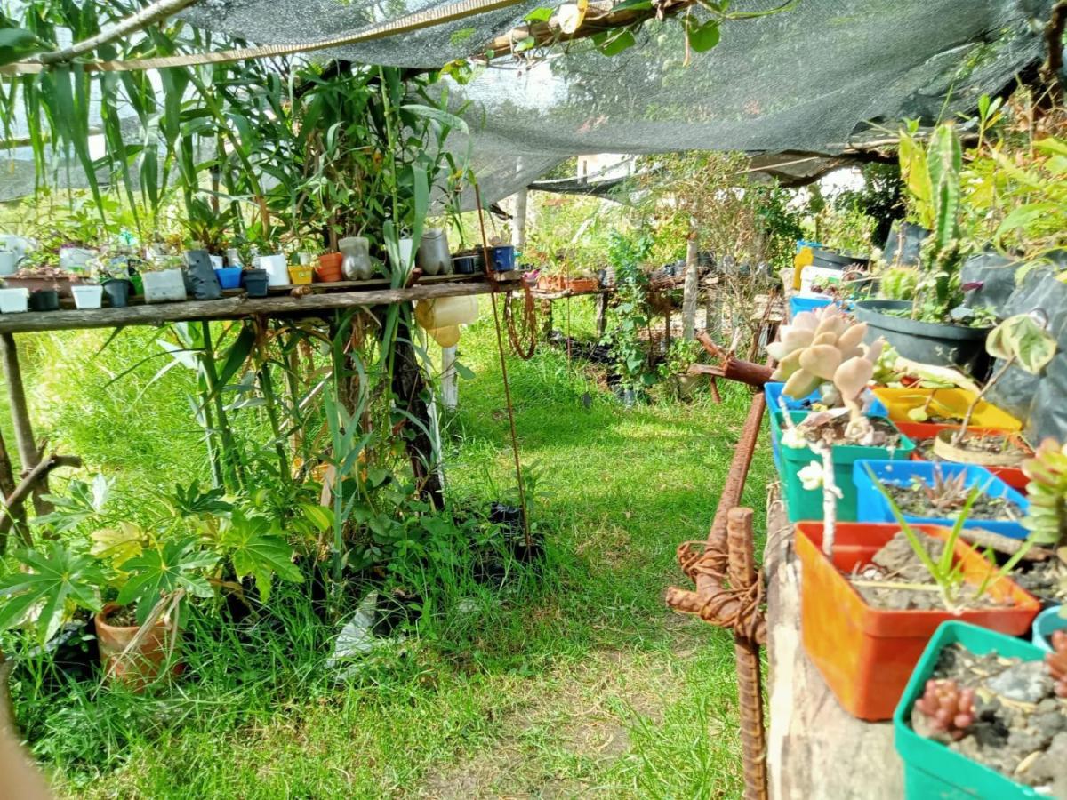 Hospedaje Y Zona De Camping Pistacho Casa de hóspedes Villa de Leyva Exterior foto