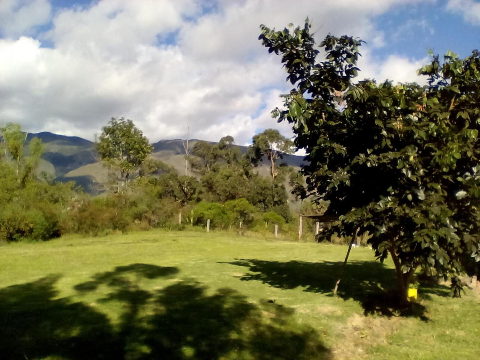 Hospedaje Y Zona De Camping Pistacho Casa de hóspedes Villa de Leyva Exterior foto